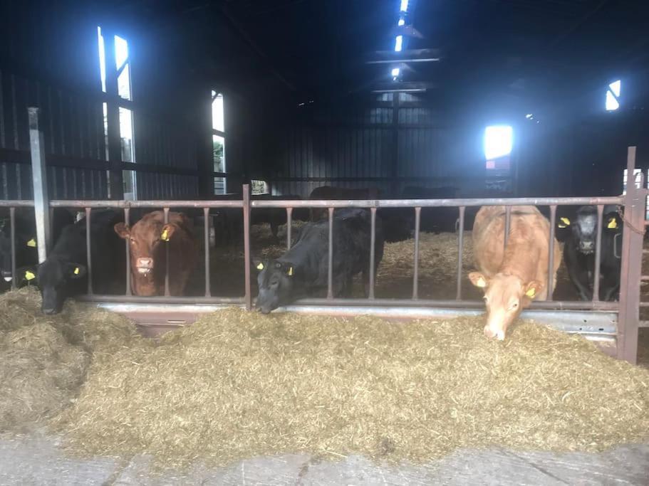Holiday home Swallows' Barn