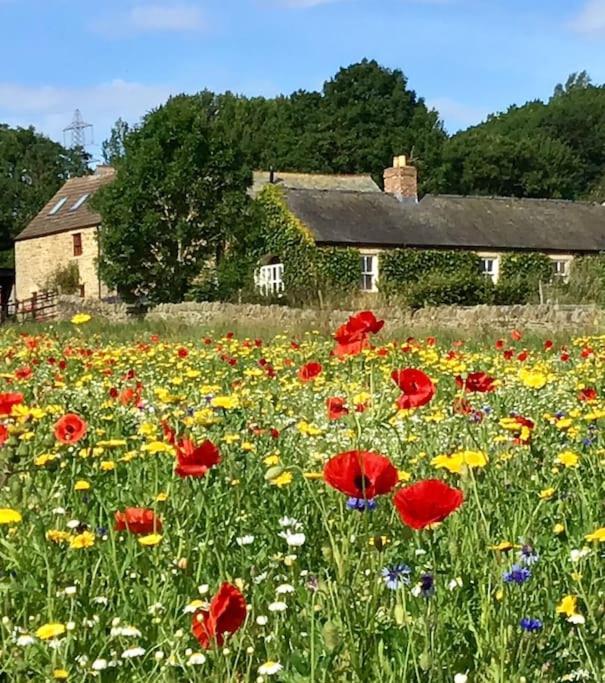 Swallows' Barn *
